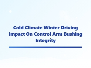 Protect Your Suspension From Cold Weather Wear