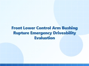 Emergency Driveability Check After Bushing Rupture
